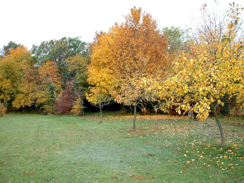 La Roseraie Neuville-du-Poitou Exterior foto